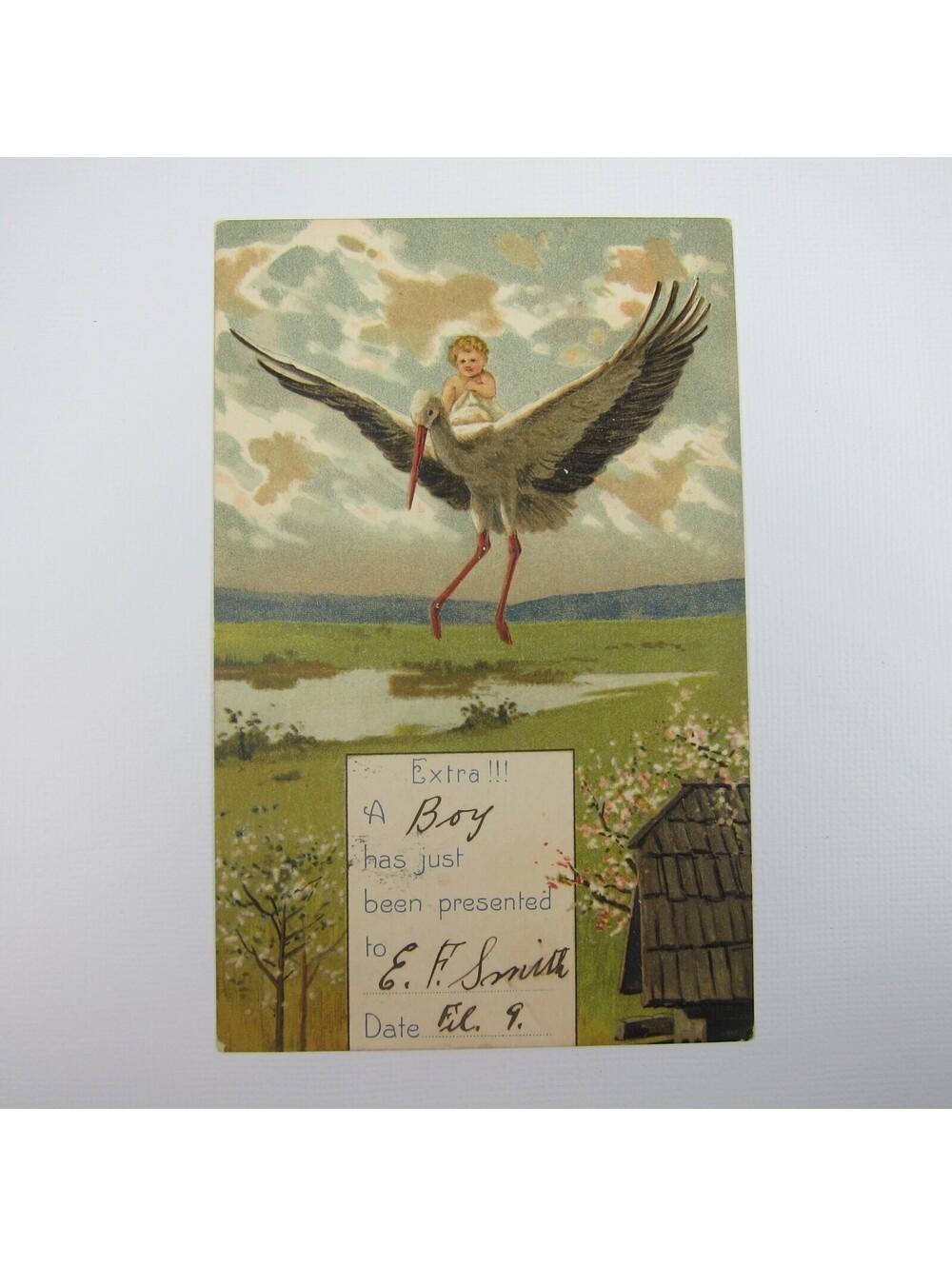 Postcard Birth Announcement Blonde Baby Boy Rides Flying Stork Pond Antique 1912